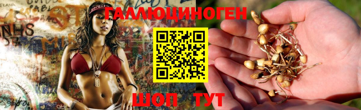 Псилоцибиновые грибы GOLDEN TEACHER Коркино
